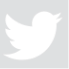 Twitter Logo